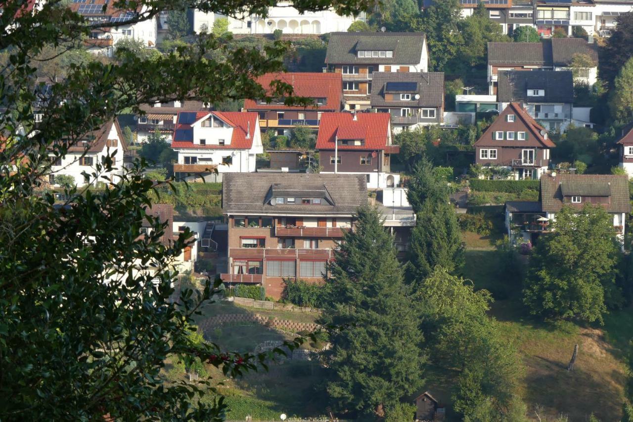 Haus Krick Appartamento Alpirsbach